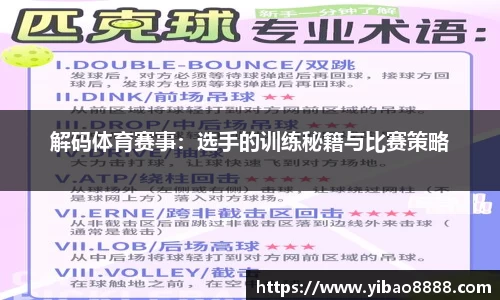 中国区官网